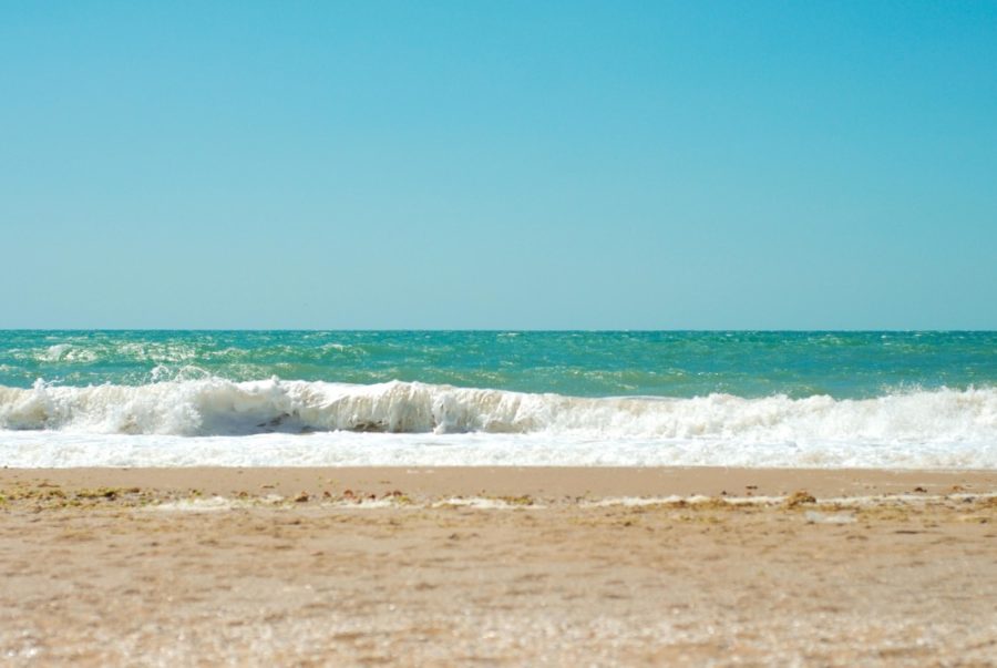 El Verano Y La Fibrosis Quística