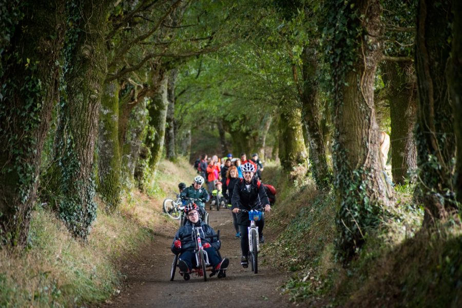 El Camino De Santiago, En Bicicleta Adaptada