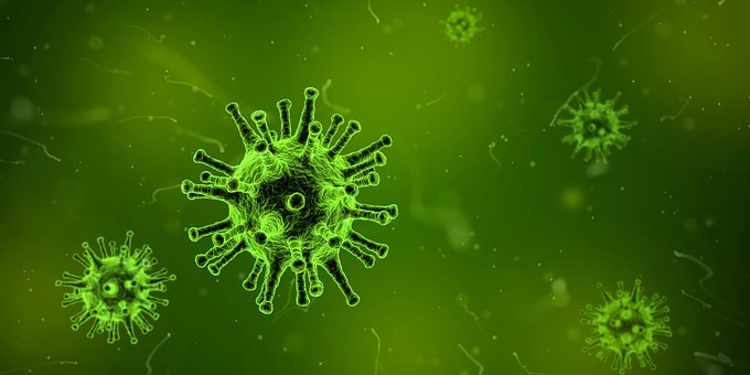 Hacia Una Vacuna Para El Coronavirus