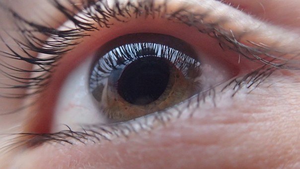 Glaucoma, La Pérdida Silenciosa De Visión