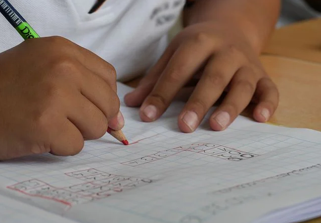 Niño Educacion Libro