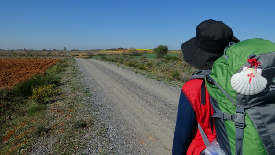 Los Farmacéuticos, ángeles De La Guarda De Las Peregrinas Del Camino De Santiago