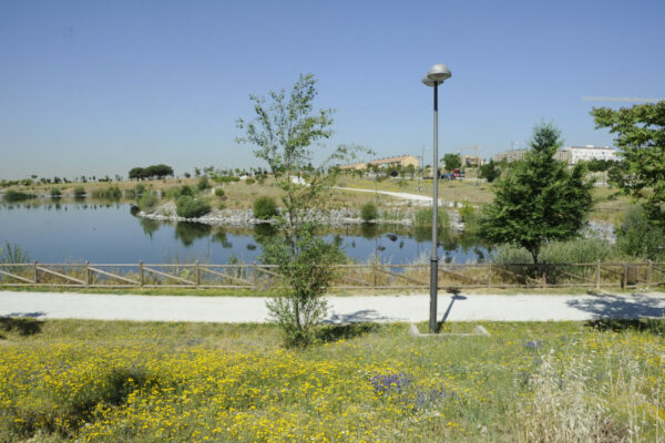 Parque Natural Nelson Mandela De Móstoles