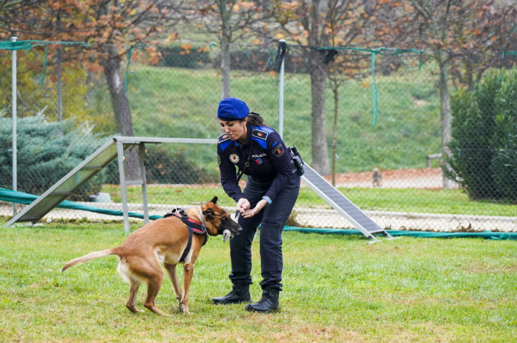 Exhibición de la unidad canina de la Policía Municipal de Móstoles