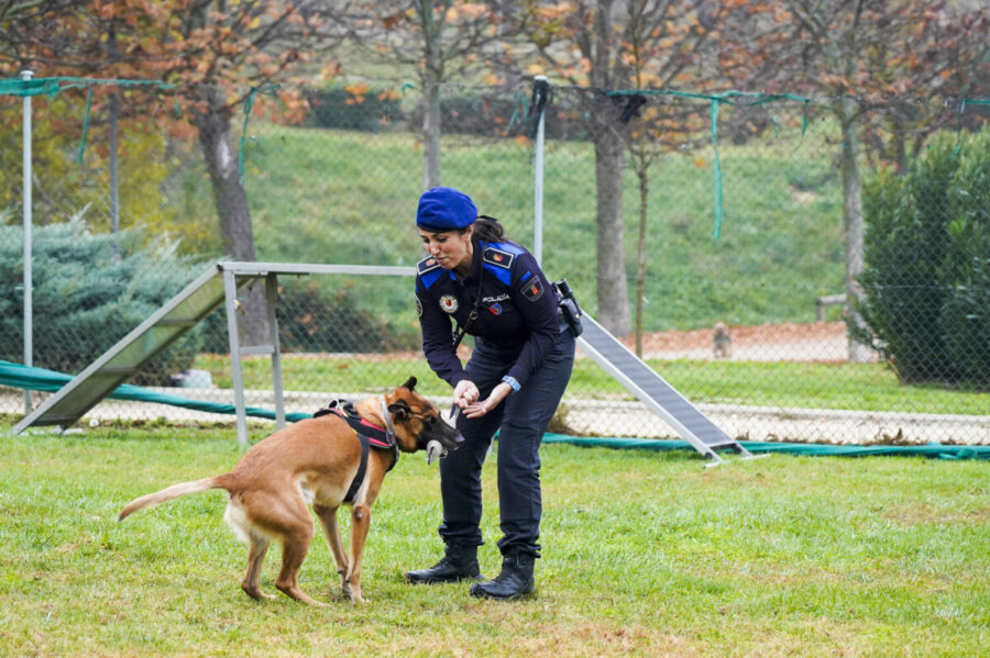 La Unidad Canina De Móstoles, Un Referente En Seguridad A Nivel Nacional